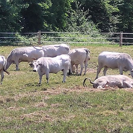 Agriturismo La Fornace Centro Ippico Como Dış mekan fotoğraf