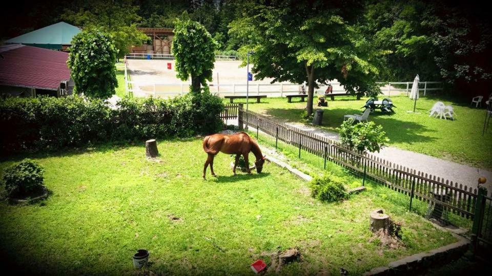 Agriturismo La Fornace Centro Ippico Como Dış mekan fotoğraf