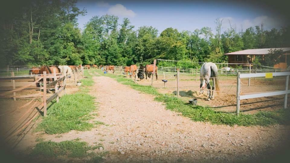 Agriturismo La Fornace Centro Ippico Como Dış mekan fotoğraf