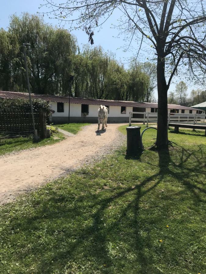 Agriturismo La Fornace Centro Ippico Como Dış mekan fotoğraf