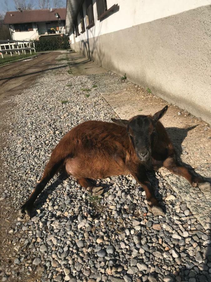 Agriturismo La Fornace Centro Ippico Como Dış mekan fotoğraf